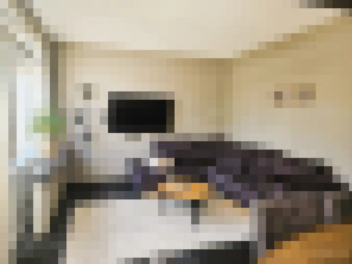 Avekingecamp 25 Emmen thumbnail 7