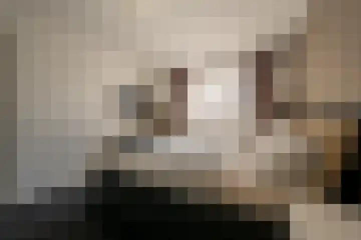 Aveling 10 Mijnsheerenland thumbnail 13