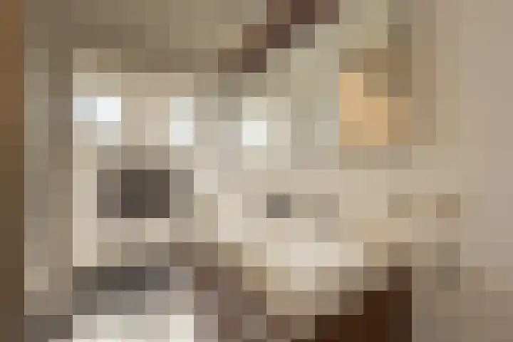 Aveling 10 Mijnsheerenland thumbnail 18