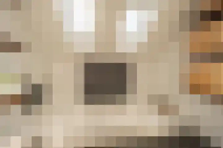 Aveling 10 Mijnsheerenland thumbnail 19