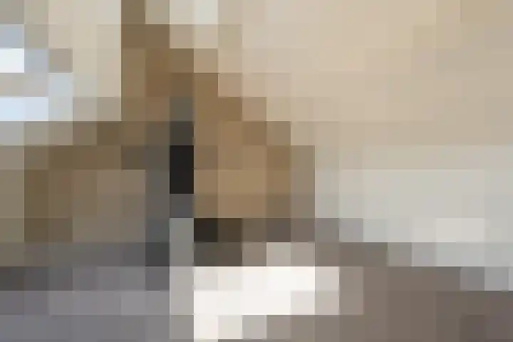 Aveling 10 Mijnsheerenland thumbnail 22