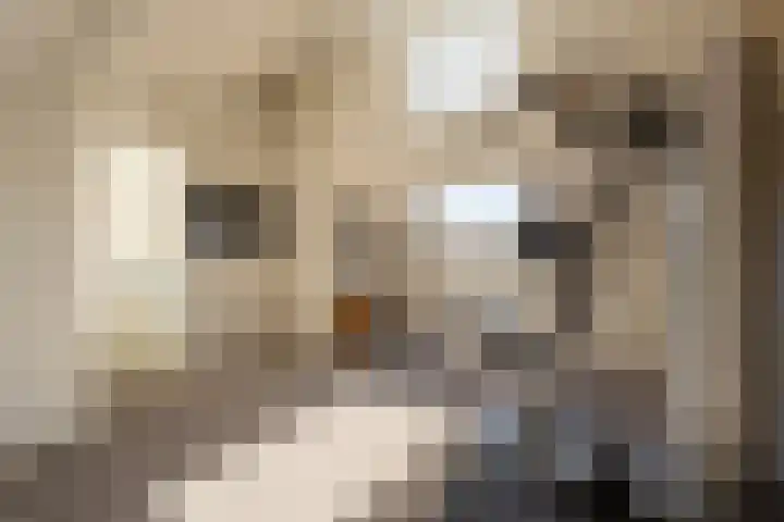 Aveling 10 Mijnsheerenland thumbnail 23
