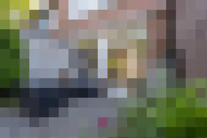 Aveling 10 Mijnsheerenland thumbnail 25