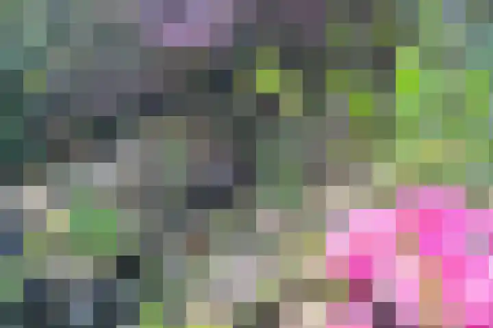 Aveling 10 Mijnsheerenland thumbnail 27