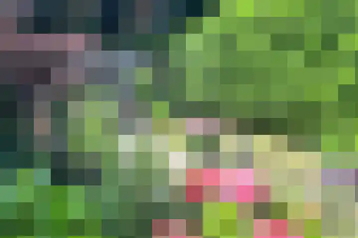 Aveling 10 Mijnsheerenland thumbnail 28