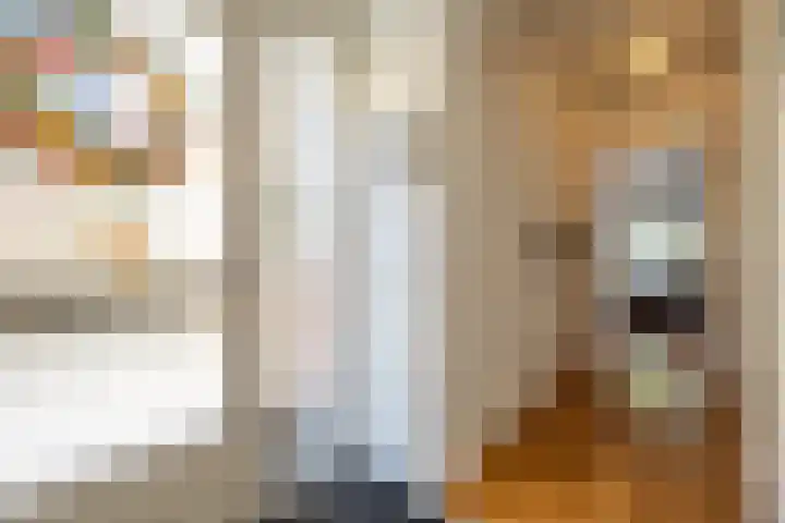 Aveling 10 Mijnsheerenland thumbnail 30