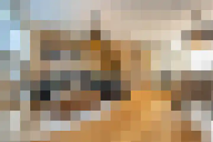 Aveling 10 Mijnsheerenland thumbnail 4