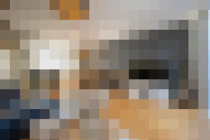 Aveling 10 Mijnsheerenland thumbnail 6