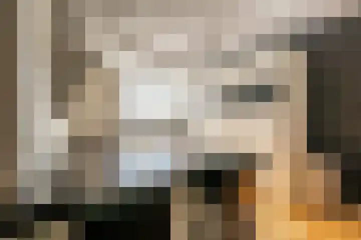 Aveling 10 Mijnsheerenland thumbnail 8