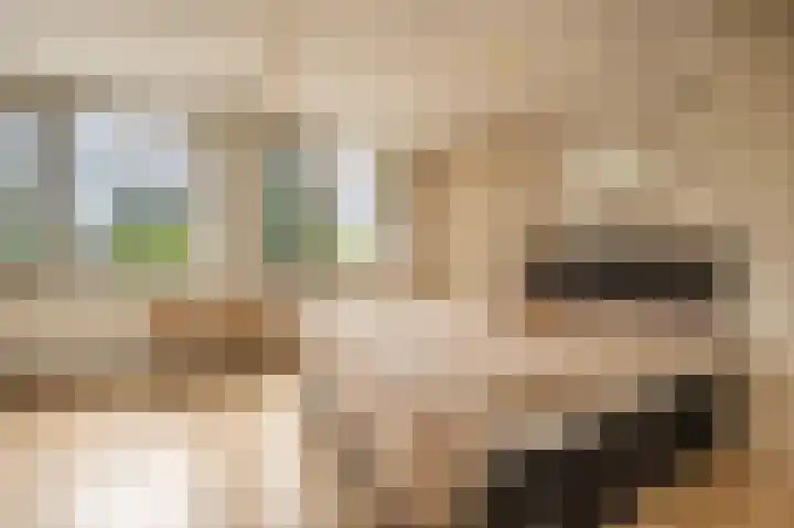 Aveling 29 Mijnsheerenland thumbnail 13