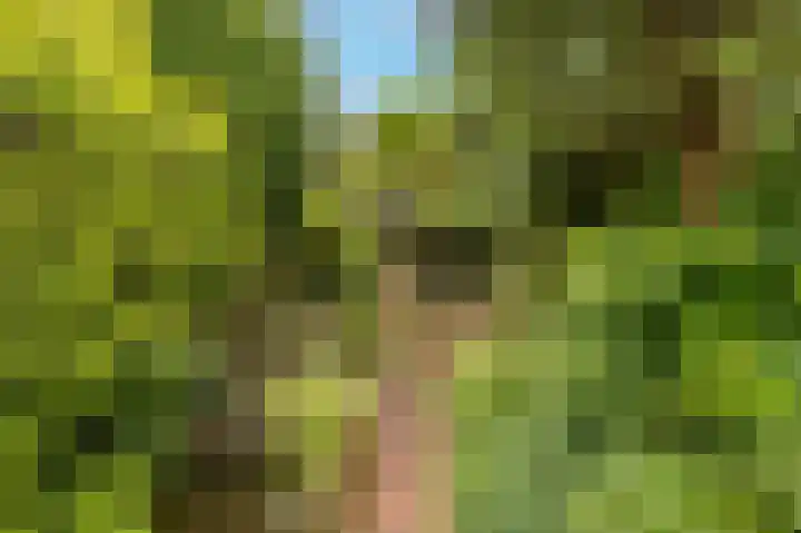 Aveling 29 Mijnsheerenland thumbnail 25