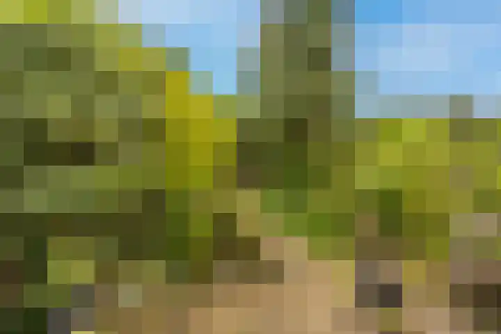 Aveling 29 Mijnsheerenland thumbnail 26