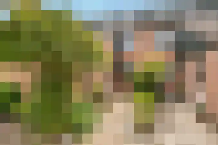 Aveling 29 Mijnsheerenland thumbnail 32