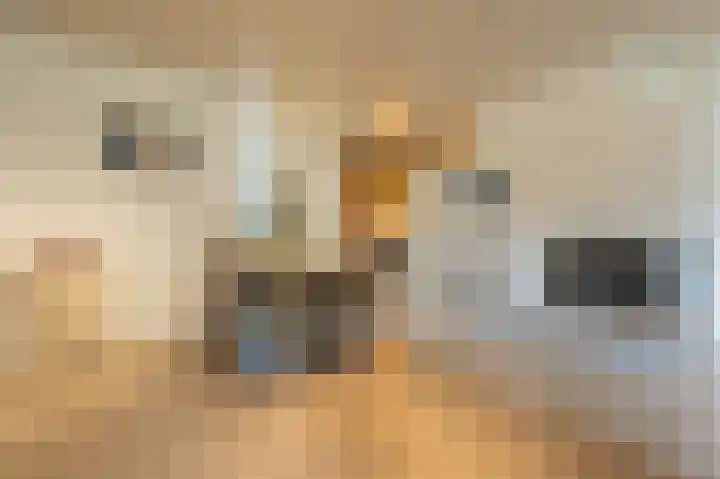 Aveling 29 Mijnsheerenland thumbnail 7