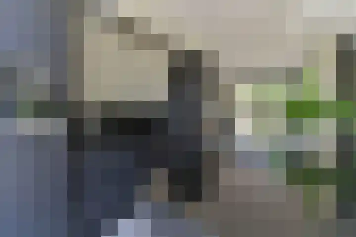 Avelsberg 50 Arcen thumbnail 15