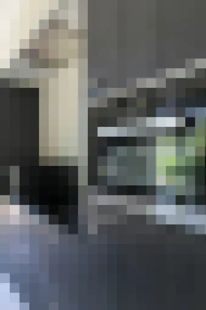 Avelsberg 50 Arcen thumbnail 16