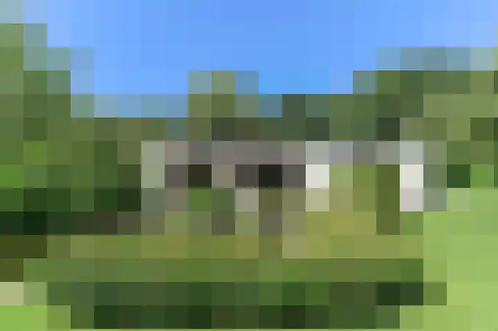 Avelsberg 50 Arcen thumbnail 22
