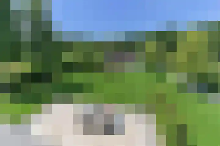 Avelsberg 50 Arcen thumbnail 37