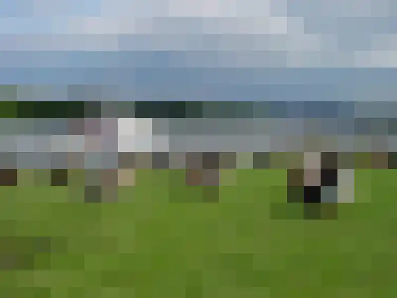 Avelsberg Arcen thumbnail 15