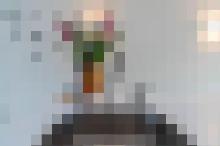 Avemoerscampe 26 Haren Gn thumbnail 19