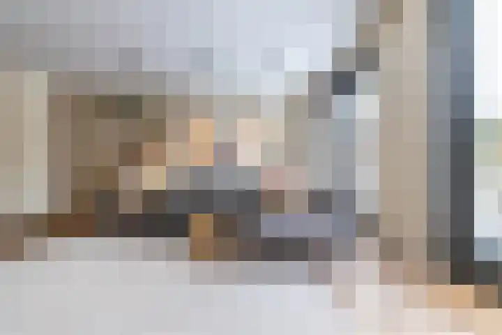 Avemoerscampe 26 Haren Gn thumbnail 22