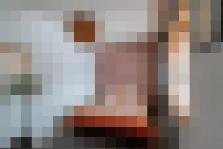 Avemoerscampe 26 Haren Gn thumbnail 29