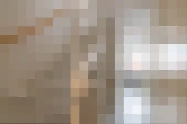 Avemoerscampe 26 Haren Gn thumbnail 31