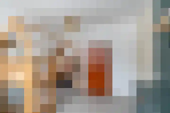 Avemoerscampe 26 Haren Gn thumbnail 35