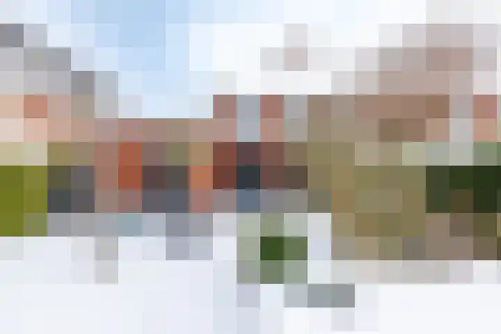 Avemoerscampe 26 Haren Gn thumbnail 4