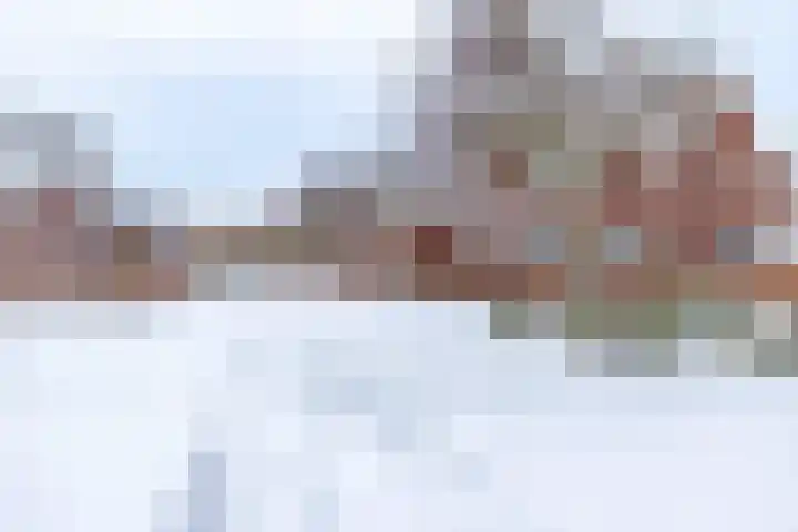 Avemoerscampe 26 Haren Gn thumbnail 5