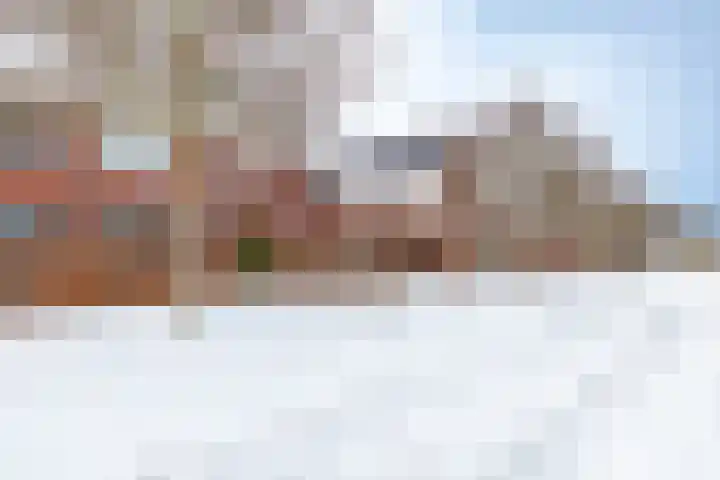 Avemoerscampe 26 Haren Gn thumbnail 6