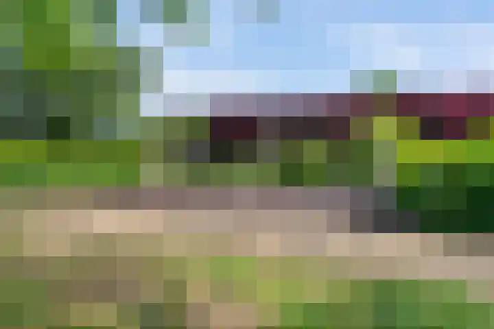 Avenbeeck 26 Hillegom thumbnail 39