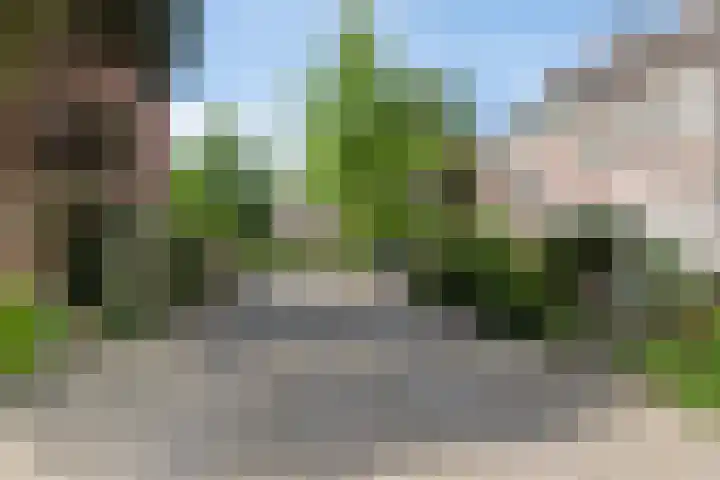 Avenbeeck 26 Hillegom thumbnail 6