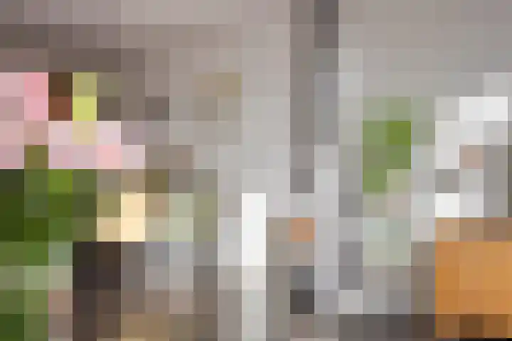Avenbeeck 33 Hillegom thumbnail 13