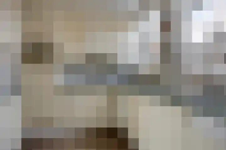 Avenbeeck 33 Hillegom thumbnail 19