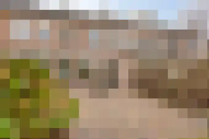 Avenbeeck 33 Hillegom thumbnail 37