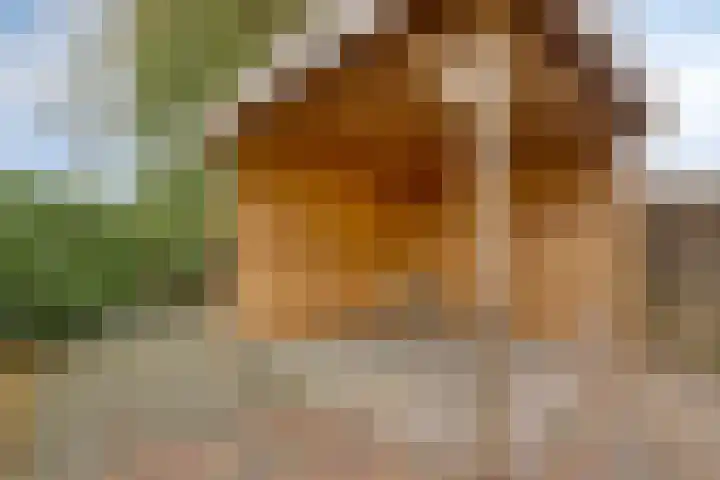 Avenbeeck 33 Hillegom thumbnail 39