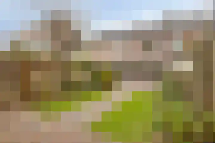 Avenbeeck 33 Hillegom thumbnail 40
