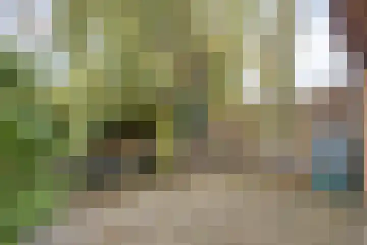 Avenbeeck 33 Hillegom thumbnail 42