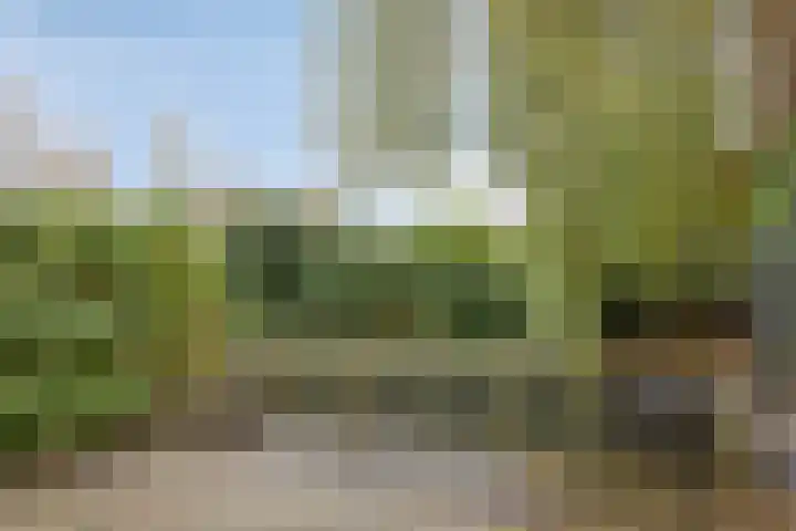 Avenbeeck 33 Hillegom thumbnail 43