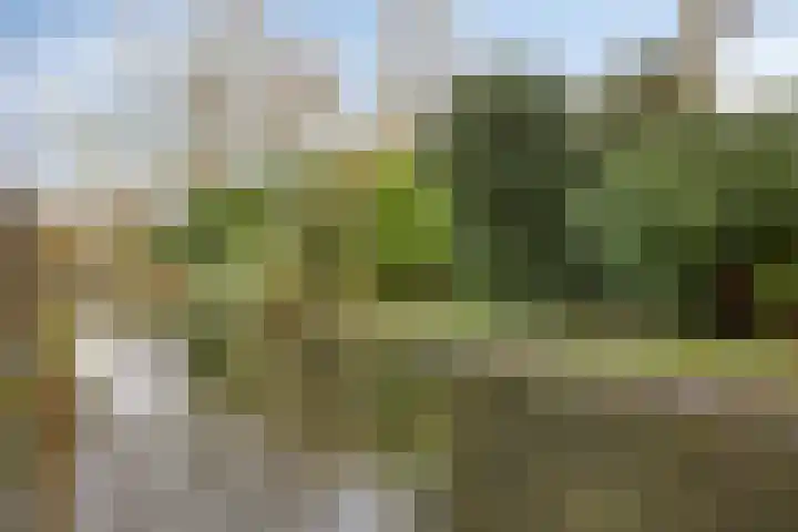 Avenbeeck 33 Hillegom thumbnail 44