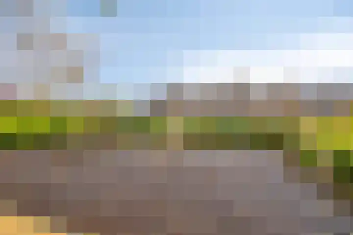 Avenbeeck 33 Hillegom thumbnail 46