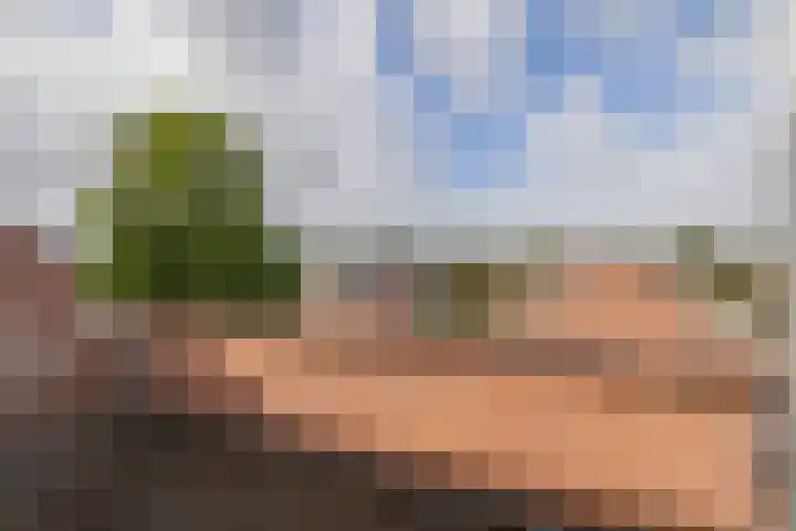 Avenbeeck 45 Hillegom thumbnail 21