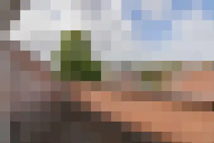 Avenbeeck 45 Hillegom thumbnail 22
