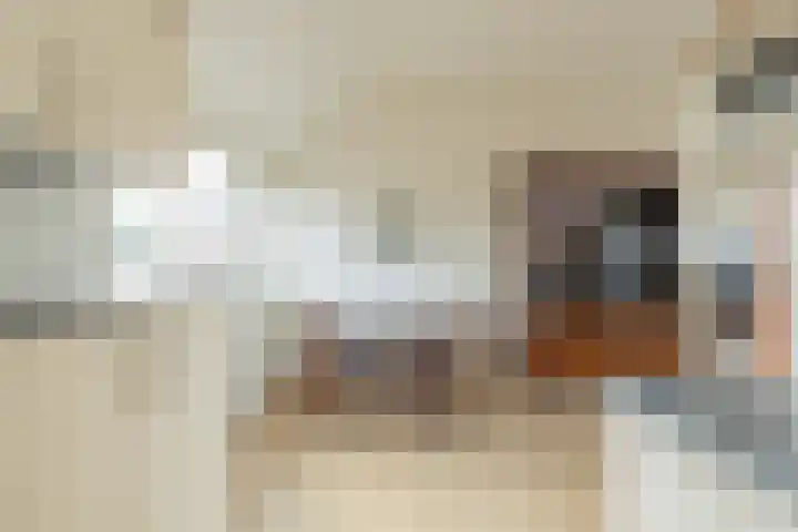 Avenbeeck 45 Hillegom thumbnail 30