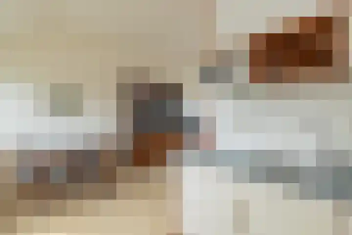 Avenbeeck 45 Hillegom thumbnail 31