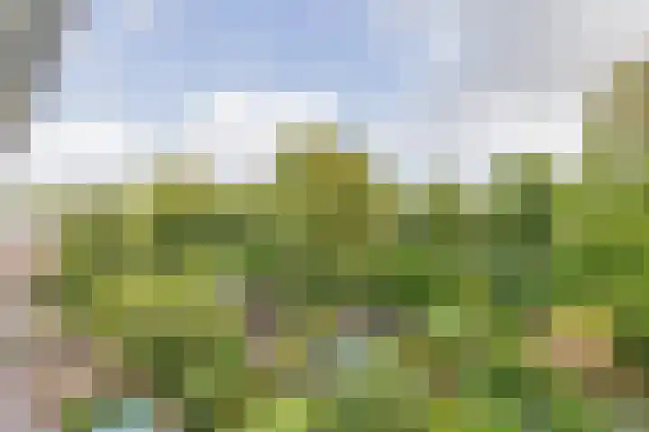 Avenbeeck 45 Hillegom thumbnail 33