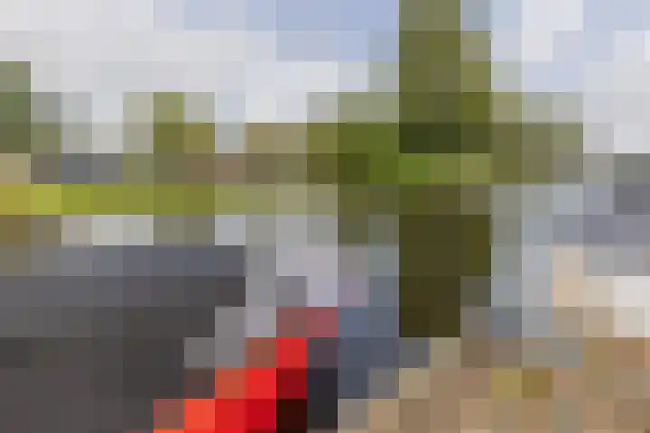 Avenbeeck 45 Hillegom thumbnail 37