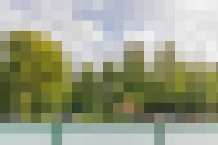 Avenbeeck 45 Hillegom thumbnail 5