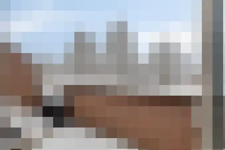 Avenbeeck 57 Hillegom thumbnail 30